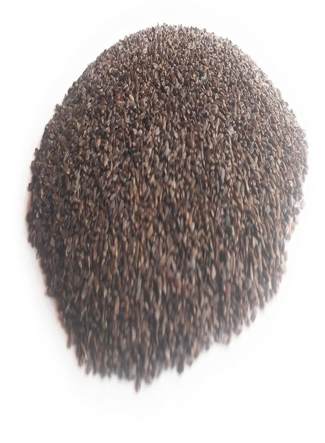 Ayushiv TALMAKHANA SEEDS (Asteracantha Longifolia) - KOKILAKSHA BEEJ - TAAL MAKHANA BEEJ (50) - Image 4